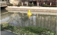  多參數(shù)水質(zhì)分析儀在城市景觀河道上的應用