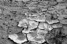  土壤重金屬污染對人體的危害