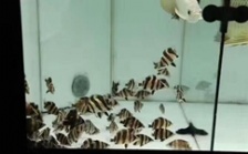  怎么調(diào)節(jié)水質(zhì)硬度