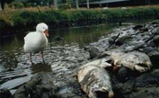  江蘇省廢水污染物在線監測儀器與數采儀通訊協議規范