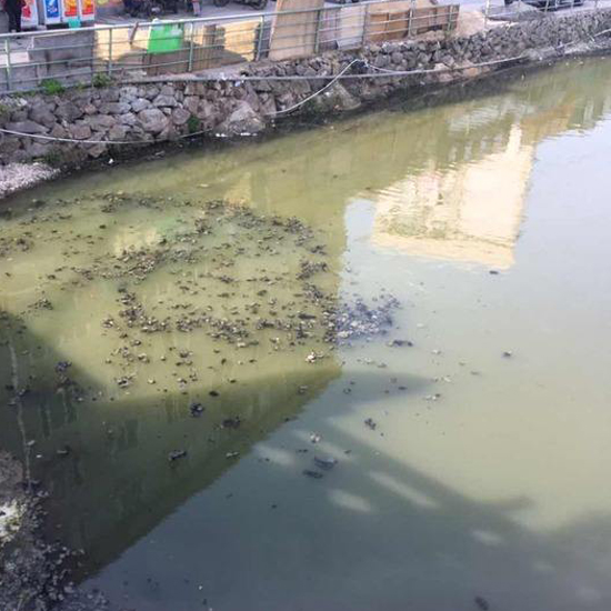  秋冬交替，污泥又到了換季膨脹的季節