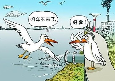  國家飲用水標準及水質合格率是多少？