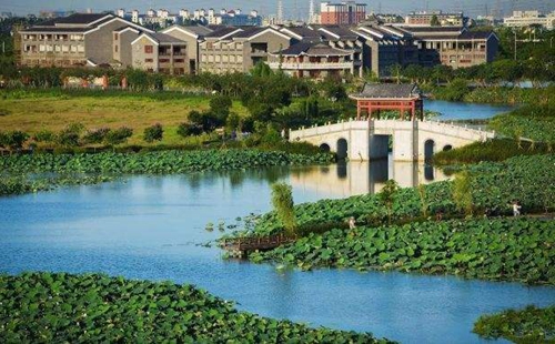 從&ldquo;優環境&rdquo;到&ldquo;強產業&rdquo;再到&ldquo;惠民生&rdquo; 東莞市麻涌鎮走通綠色發展&ldquo;閉環&rdquo;